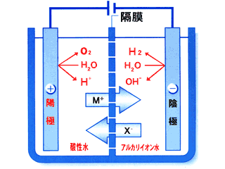 アルカリイオン整水器（電解水）の仕組み